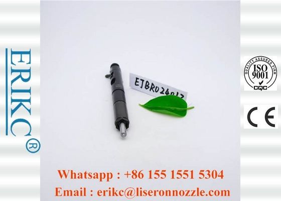 EJBR02401Z CRDI For Delp Diesel Injectors R02401Z Common Rail Injection System  For KIA