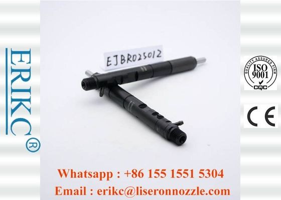 Diesel Original For Delp Injectors Injector Excavator 2501Z EJBR02501Z