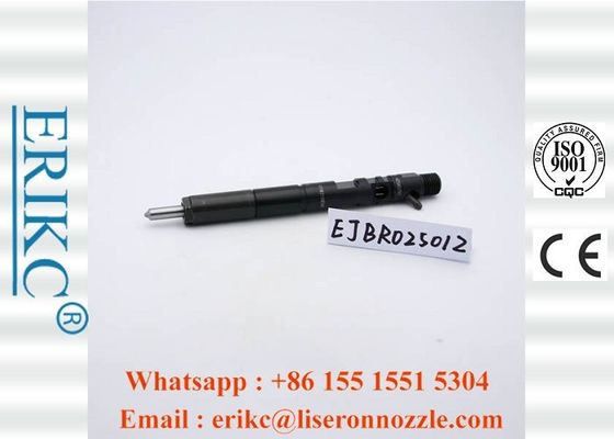 Diesel Original For Delp Injectors Injector Excavator 2501Z EJBR02501Z