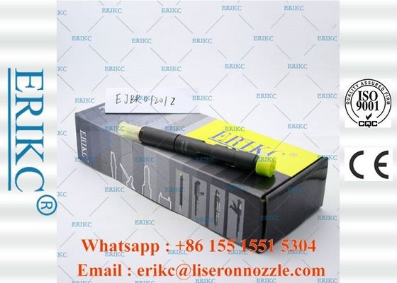ERIKC Genuine For Delp Injectors Car Oil Diesel Unit Injector EJBR0 1201Z