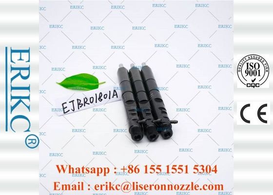 EJBR01801A For Delp Injectors Assembly Injector Common Rail For Delp ERIKC