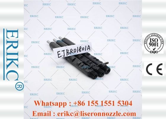 EJBR01801A For Delp Injectors Assembly Injector Common Rail For Delp ERIKC
