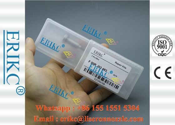 ERIKC For BOS Repair Kit F00RJ03483 auto engine injector 0445120122 diesel Nozzle and Valve F 00R J03 483