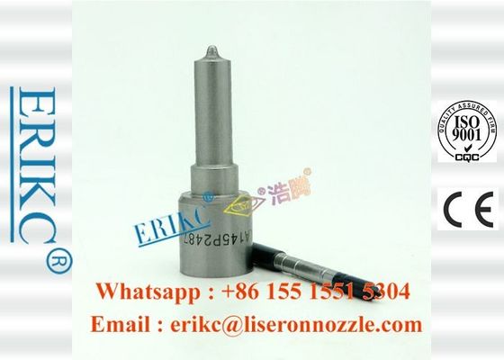 ERIKC DLLA 145P2487 factory direct fuel nozzle DLLA 145 P2487 For BOS diesel engine injection nozzle DLLA 145P 2487