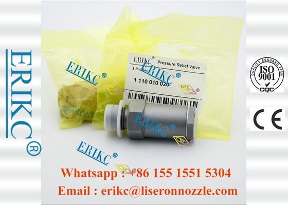 Auto Engine Diesel Injector Parts F00R000756 Pressure Relief Valve Fuel Pump 1110010020