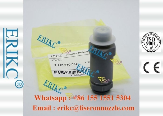 1110010035 Common Rail Pressure Relief Valve Diesel Pressure Regulator Valve 4047024015951