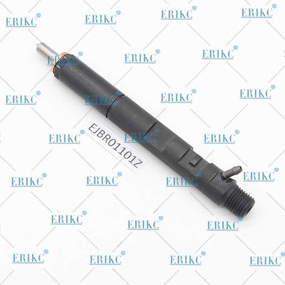 ERIKC EJBR01101Z Common Rail Injection System EJBR0 1101Z Diesel Injector EJB R01101Z For Delp