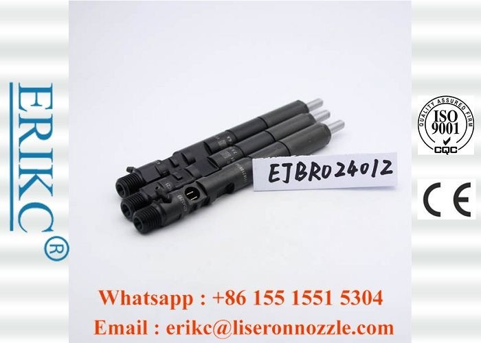 EJBR02401Z CRDI For Delp Diesel Injectors R02401Z Common Rail Injection System  For KIA