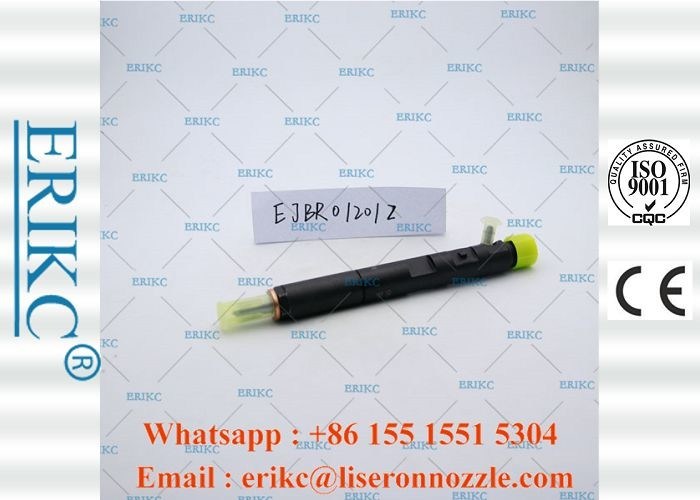 ERIKC Genuine For Delp Injectors Car Oil Diesel Unit Injector EJBR0 1201Z