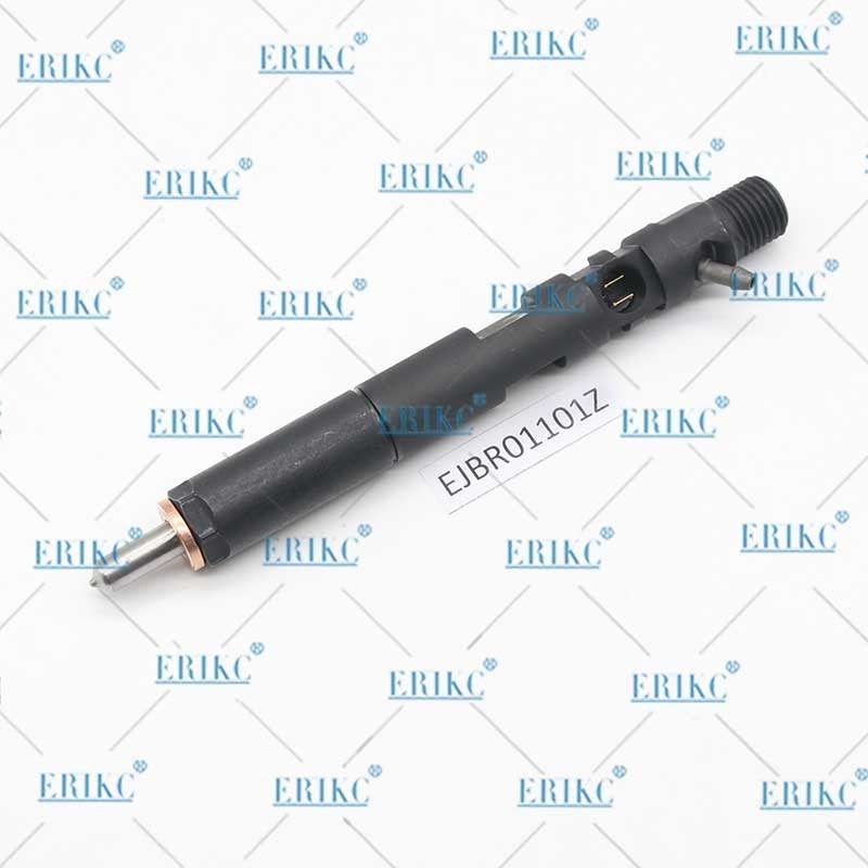 ERIKC EJBR01101Z Common Rail Injection System EJBR0 1101Z Diesel Injector EJB R01101Z For Delp